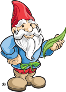 Arbor-Nomics gnome holding a blade of grass