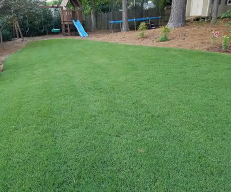 after-lawn