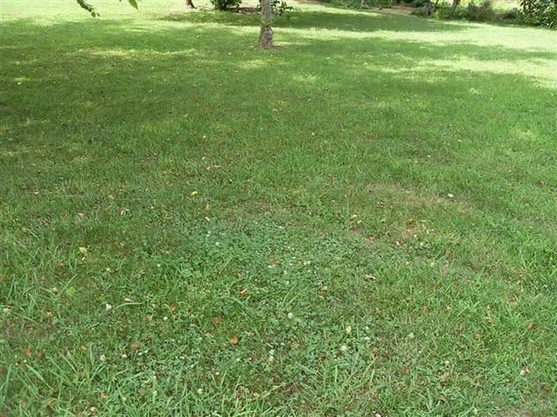 ba-house02-before-large