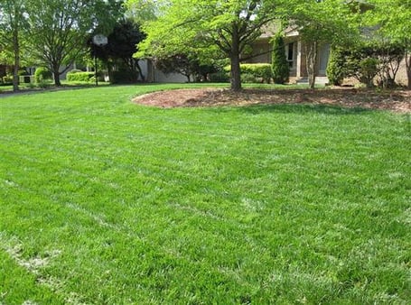 ba-house04-after01-big