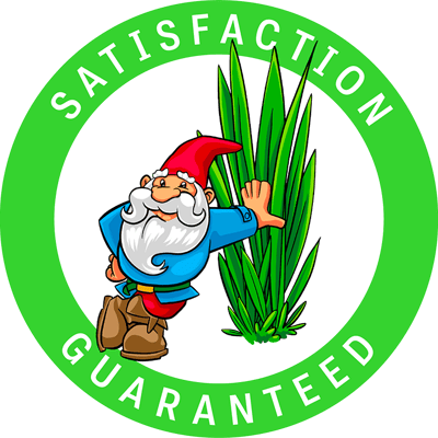 new-satisfaction-image