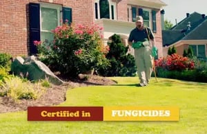 video-certified-specialistss-460x300