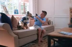 video-love-space-dog-spot-460x300