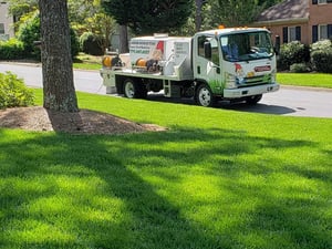 fall-lawn-treatments-1-1