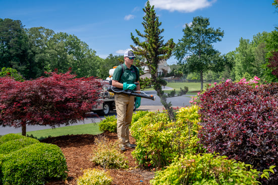 arbornomics tech spraying for pest control