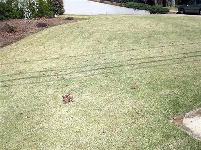 ba-house08-before01-big