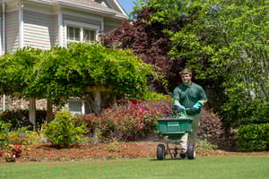 lawn fertilization header