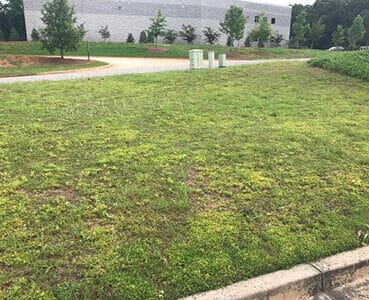 Before Lawn Care Maintenance