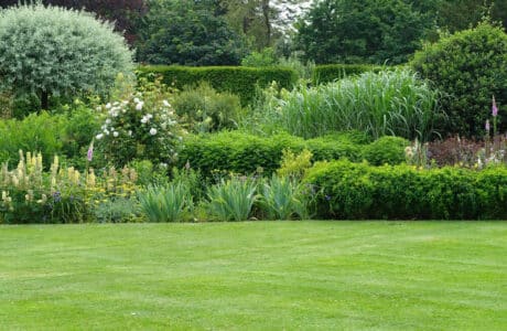 a well manicured lawn and bushes in the background